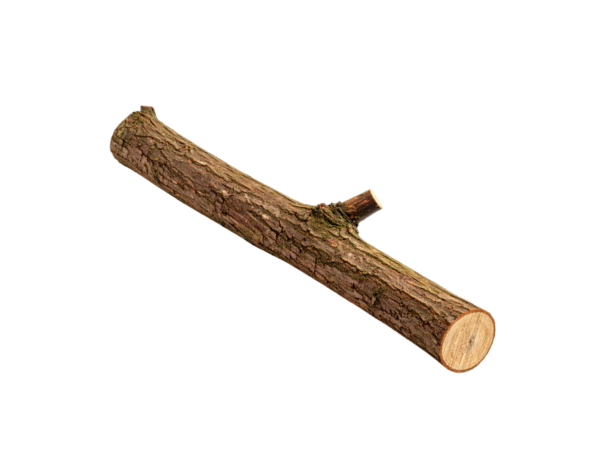 Rustic Brown Tree Branch with Knot and Rough Bark Texture. png