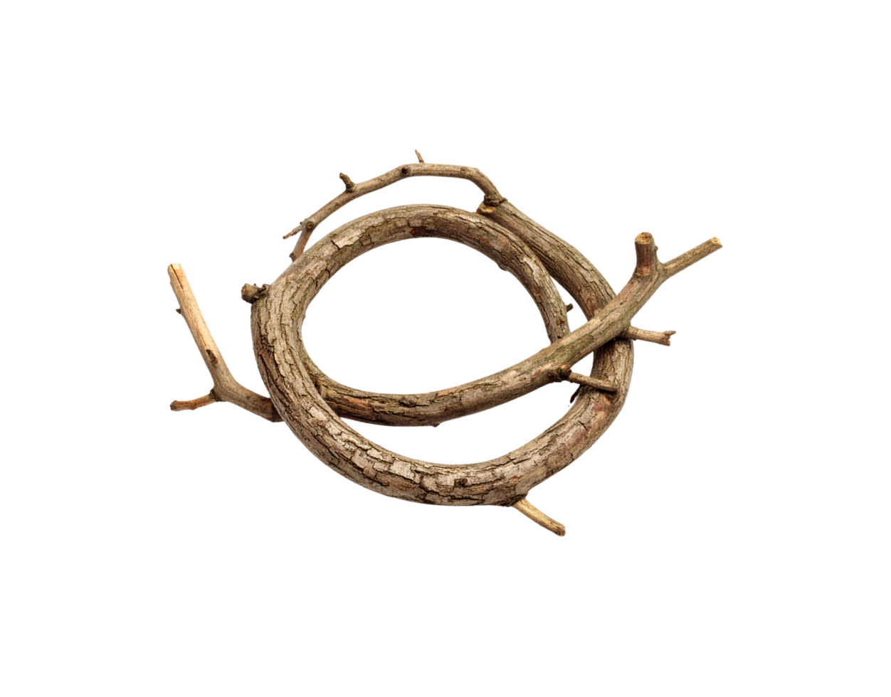 Intertwined Dried Twigs Forming a Circular Shape Brown Knotted Texture. png