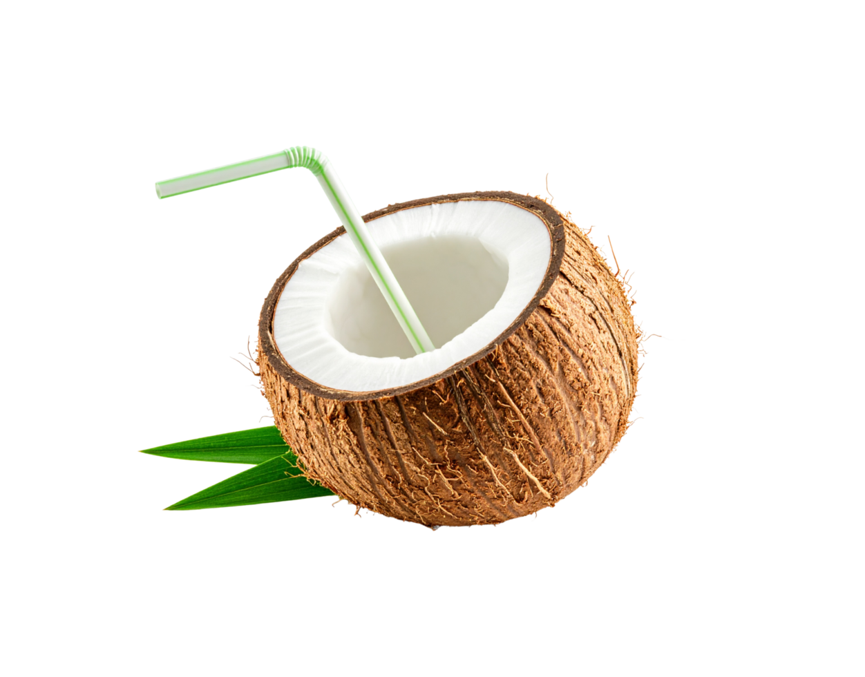 Ripe Brown Coconut Halved with Straw Showing White Interior and Fresh Green Leaves. png