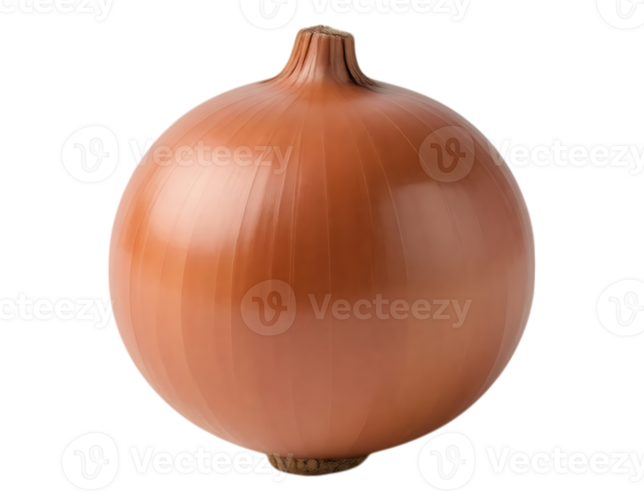 Realistic Image of a Whole Brown Onion Bulb png