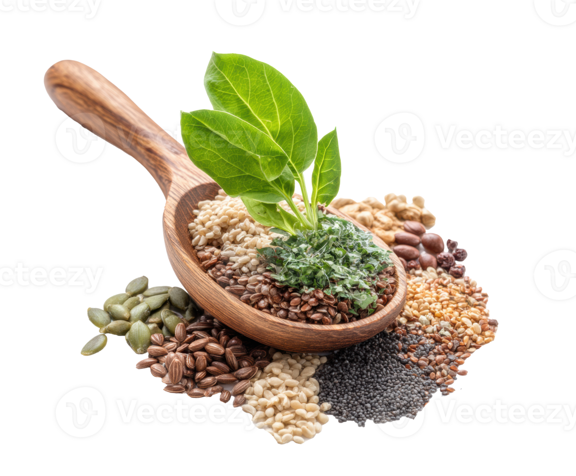 Natural herbs and seeds for healthy cooking and wellness png