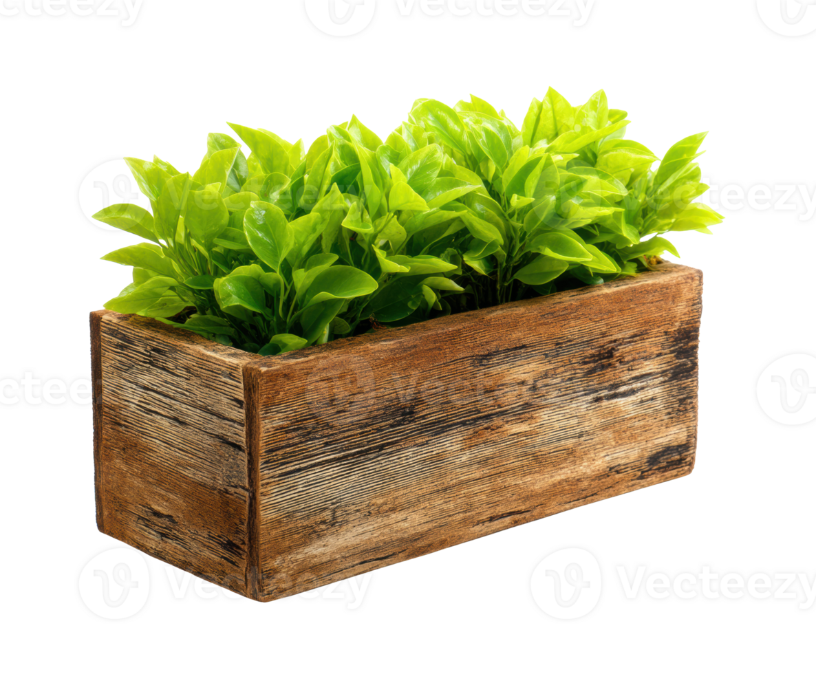 Decorative wooden planter box with vibrant green leaves for home decor png