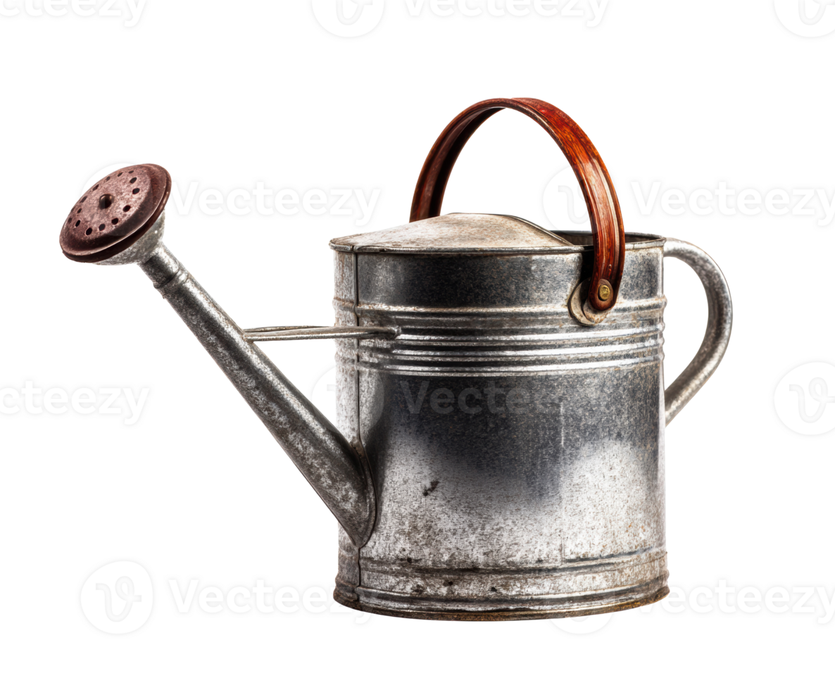 Vintage watering can with wooden handle for gardening enthusiasts png