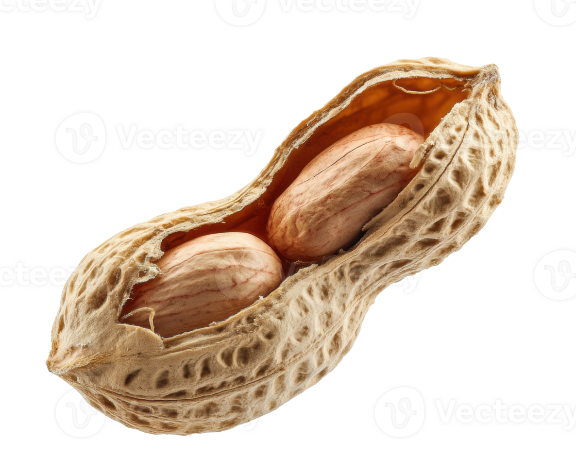 Fresh and natural peanut lying in its shell for healthy snacks png