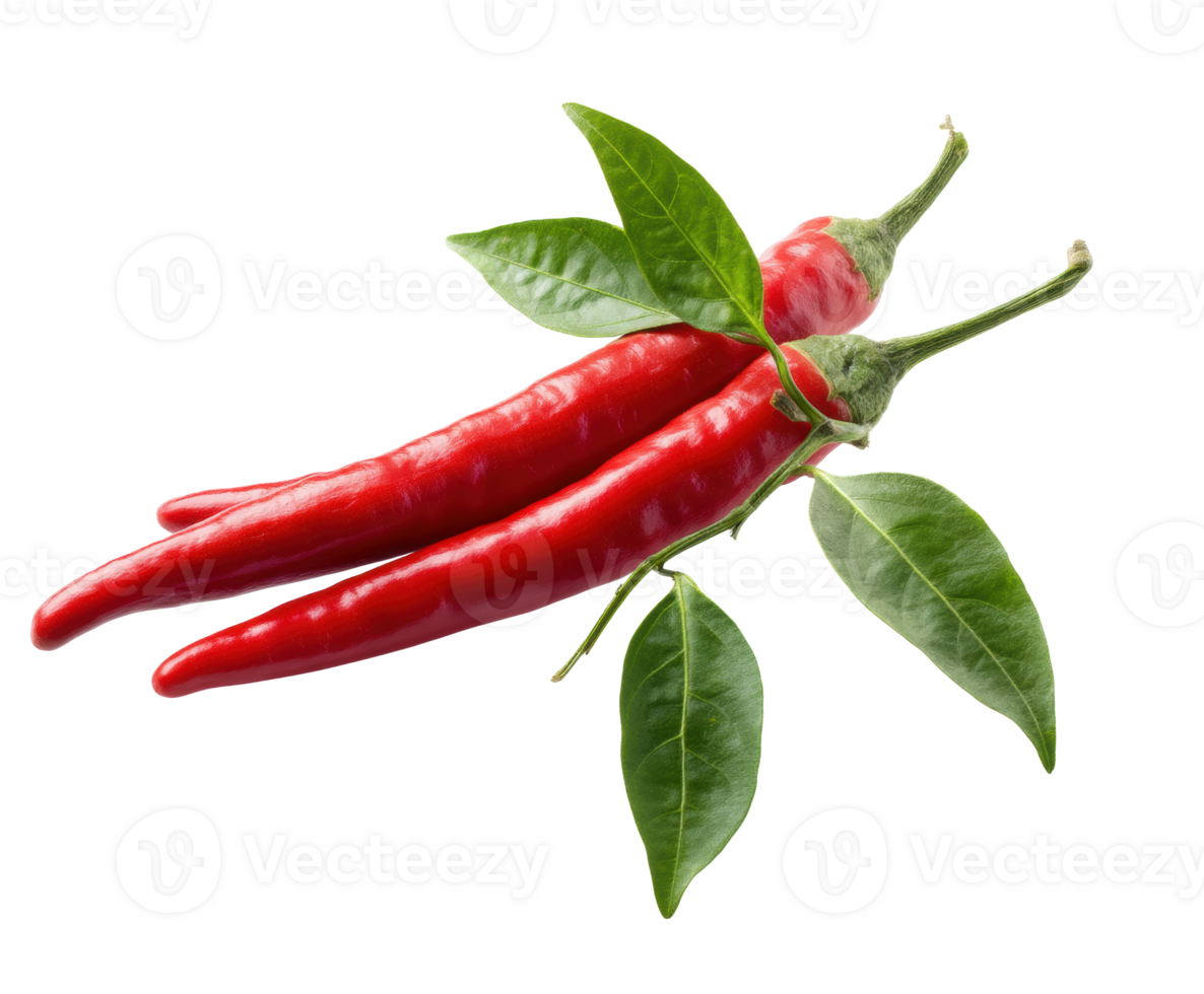 Fresh red chili peppers with green leaves for culinary use png