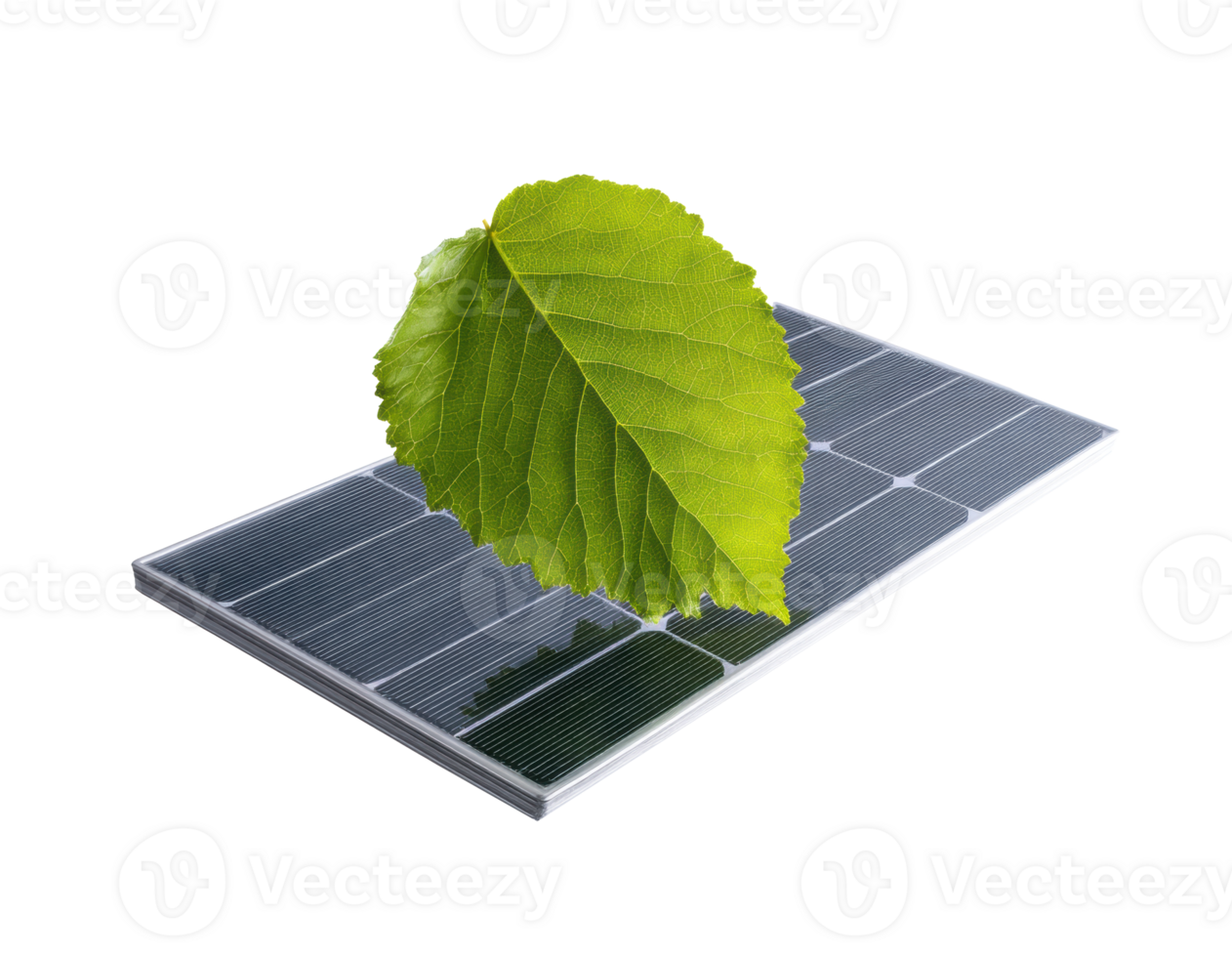 Renewable energy concept combining solar panel and green leaf png