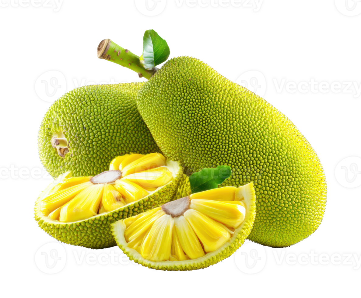 Fresh jackfruit with vibrant yellow fruit slices for healthy eating png