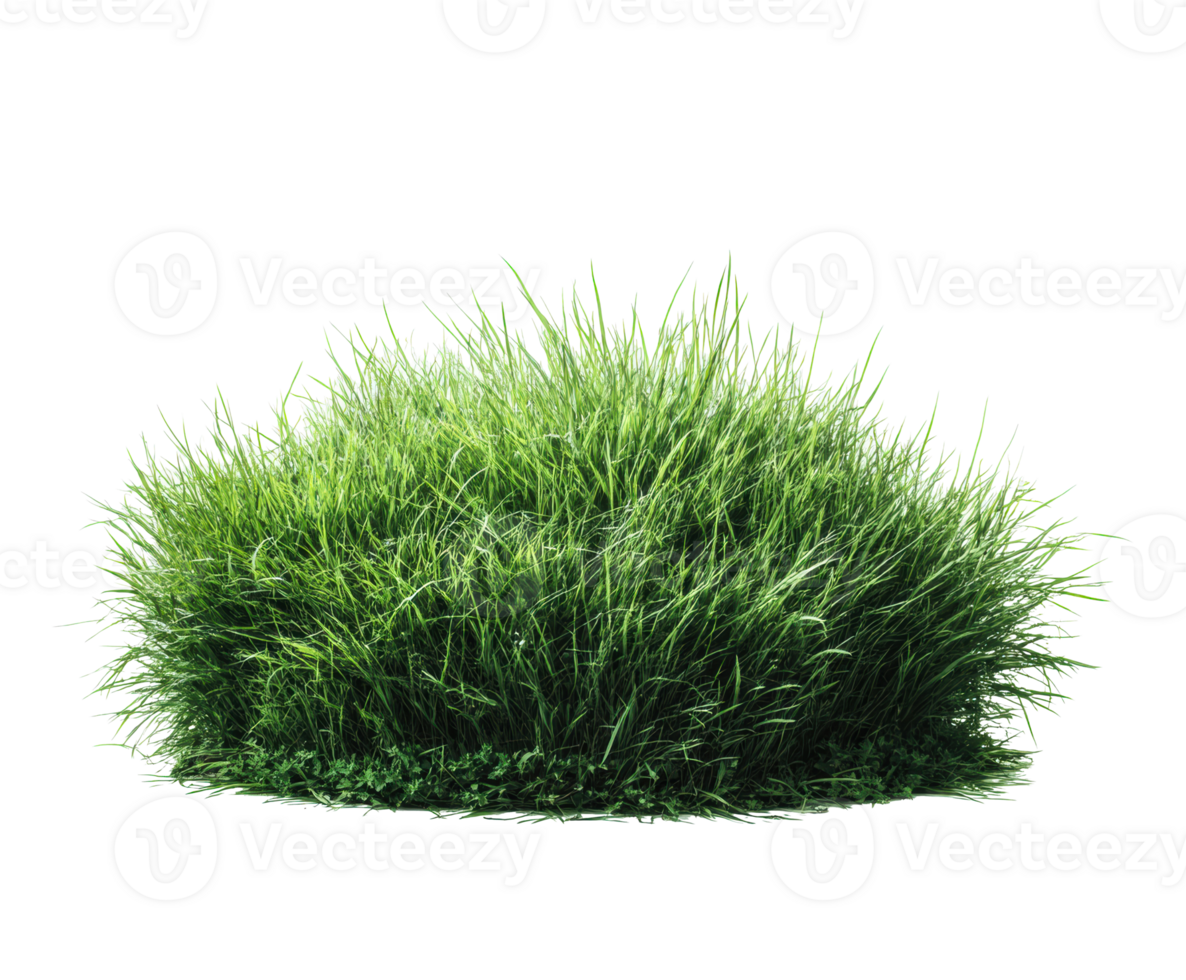 Lush green grass mound for landscaping or garden design projects png