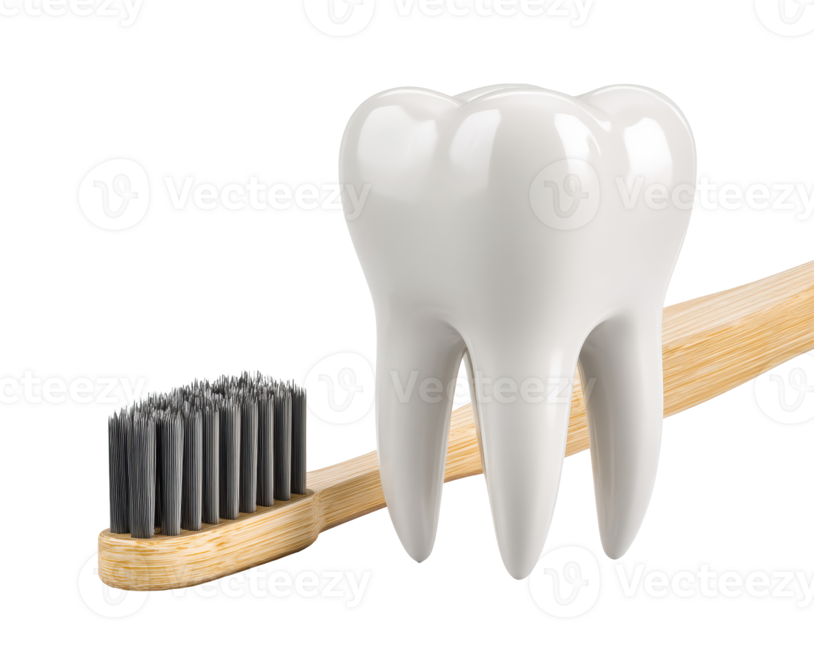 Dental health concept with a toothbrush and a white tooth model png