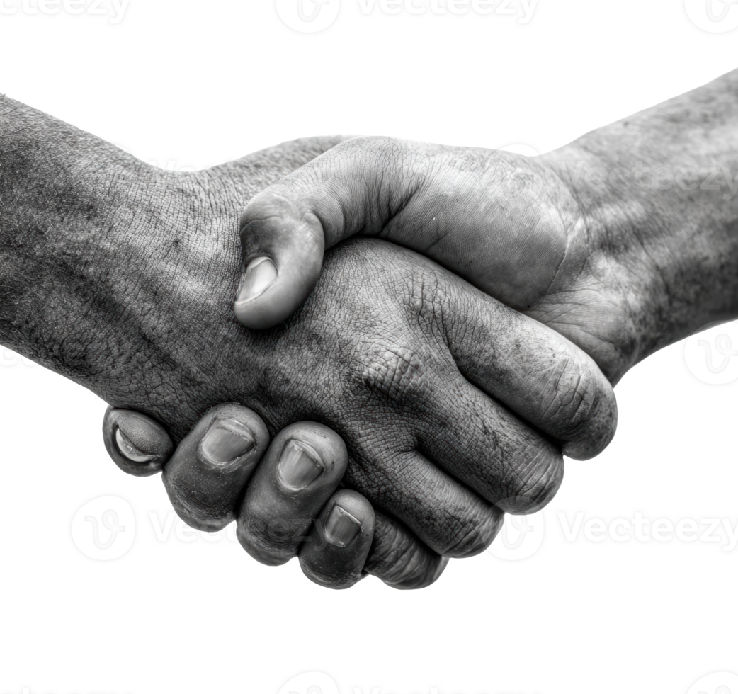 Unity and Cooperation shown through a handshake between hands png
