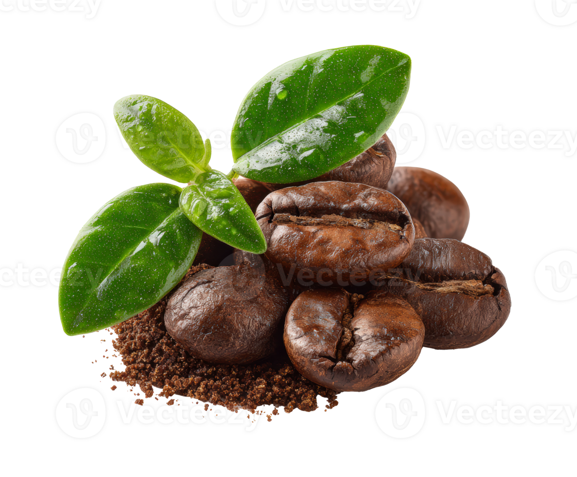 Fresh coffee beans and green leaves for brewing coffee png