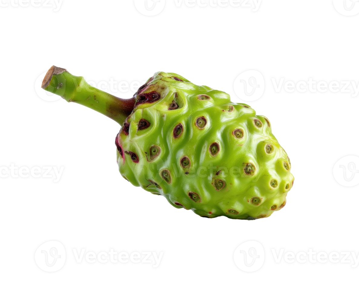 Unique green fruit with spiky texture and short stem png