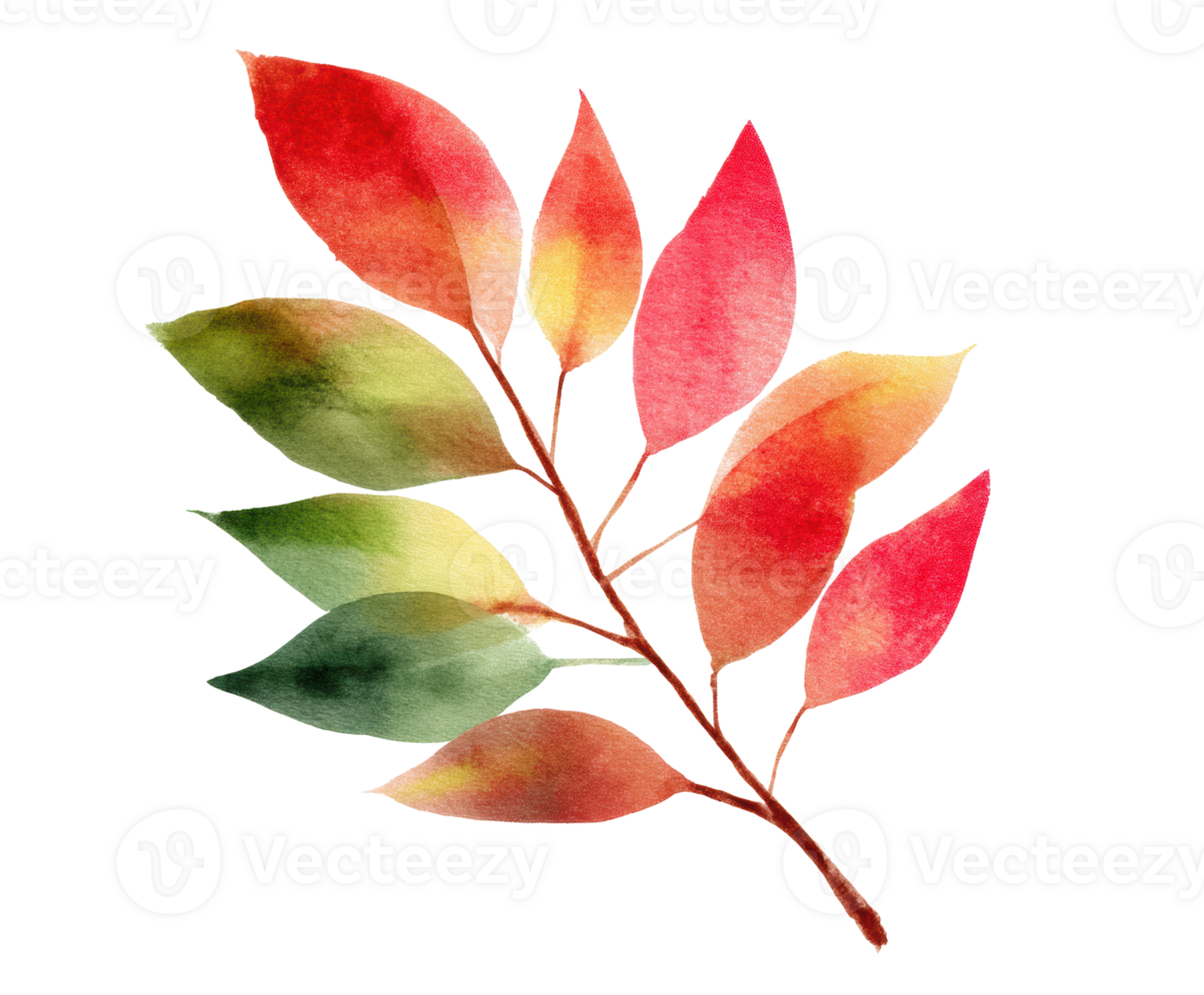 Colorful autumn leaves branch for seasonal decor and design png