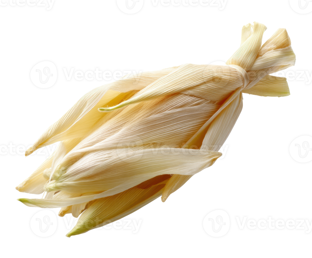 Fresh corn husk tied for culinary use in summer cooking png