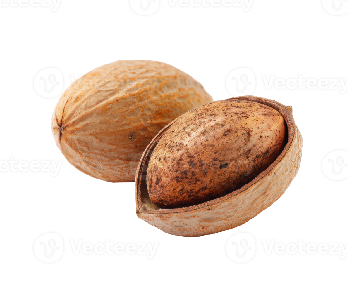 Natural beauty of pecan nuts in their shells for culinary use png