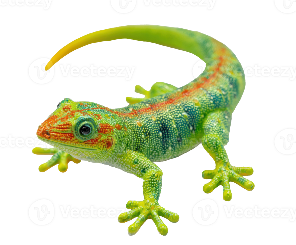 Vibrant lizard in nature displaying bright patterns png