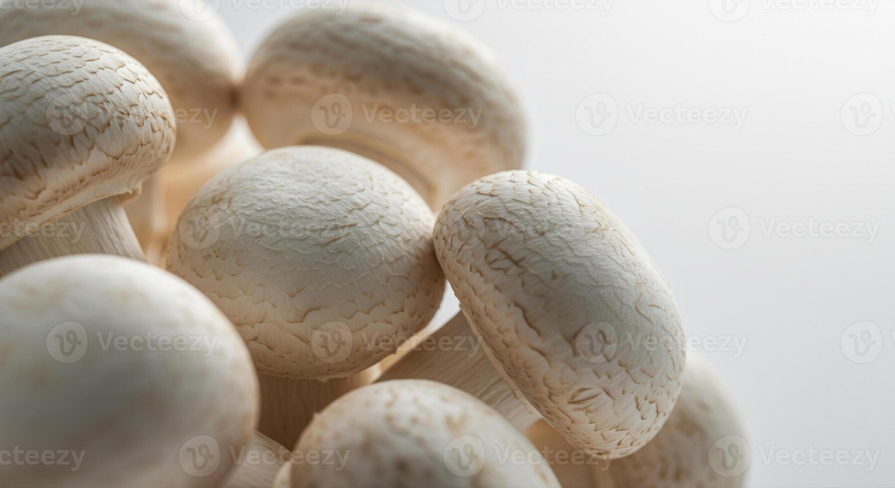 A cluster of fresh, white mushrooms ready to be enjoyed photo