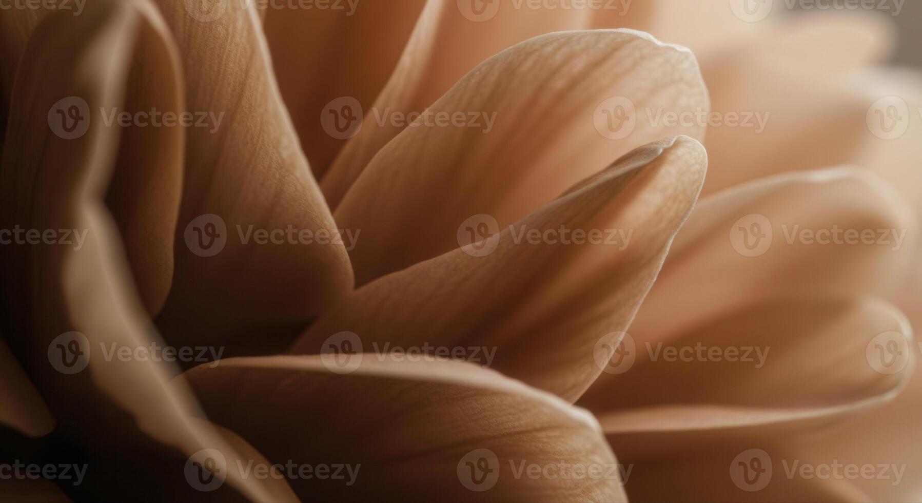 A close up view of layered flower petals photo