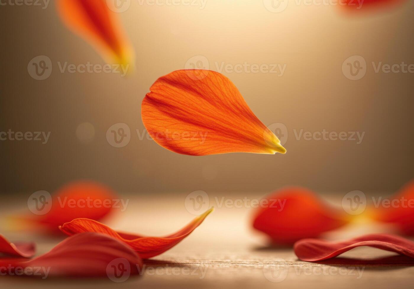 Orange flower petals in the air photo