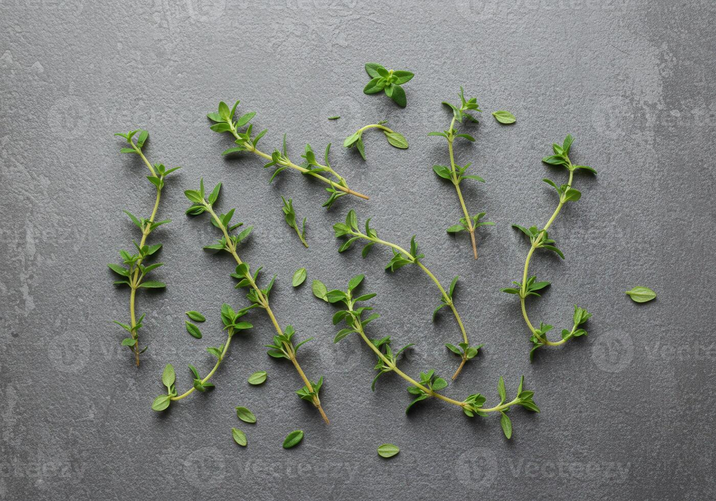 Close up of fresh thyme sprigs on a textured gray backdrop. photo