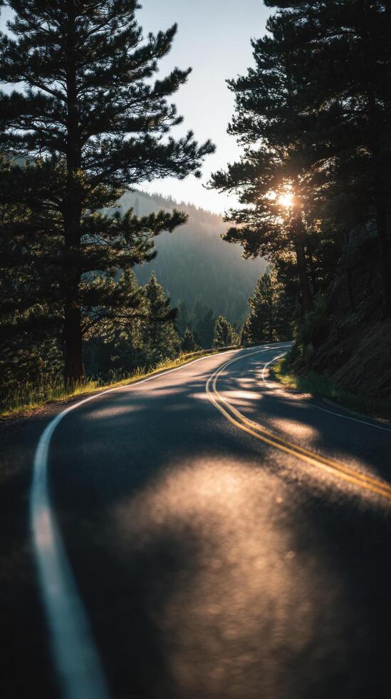 A Curving Road In The Mountains Surrounded By Pine Trees photo