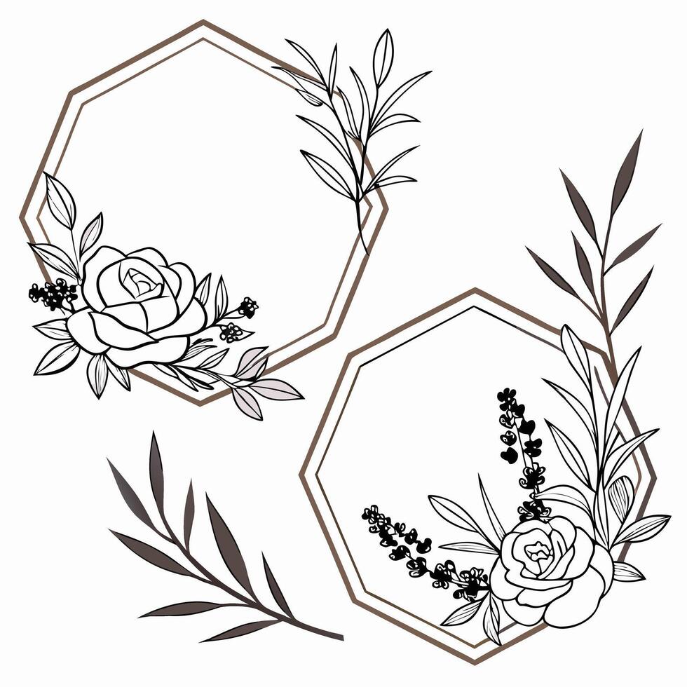 Collection of hexagon, rhombus, and circular frames blended with floral line illustrations vector