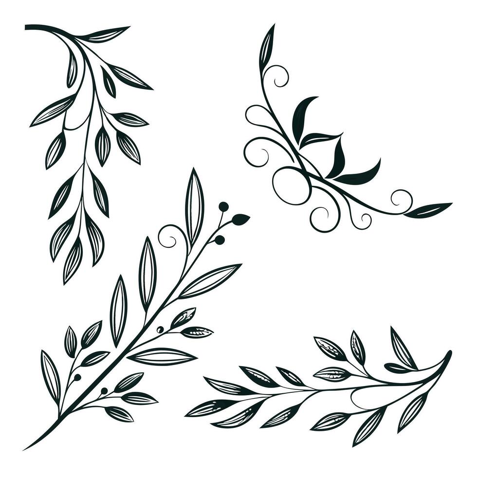 Minimalist Botanical Corners vector