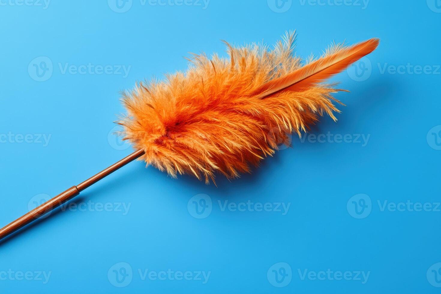 Orange Feather Duster on Blue Background photo
