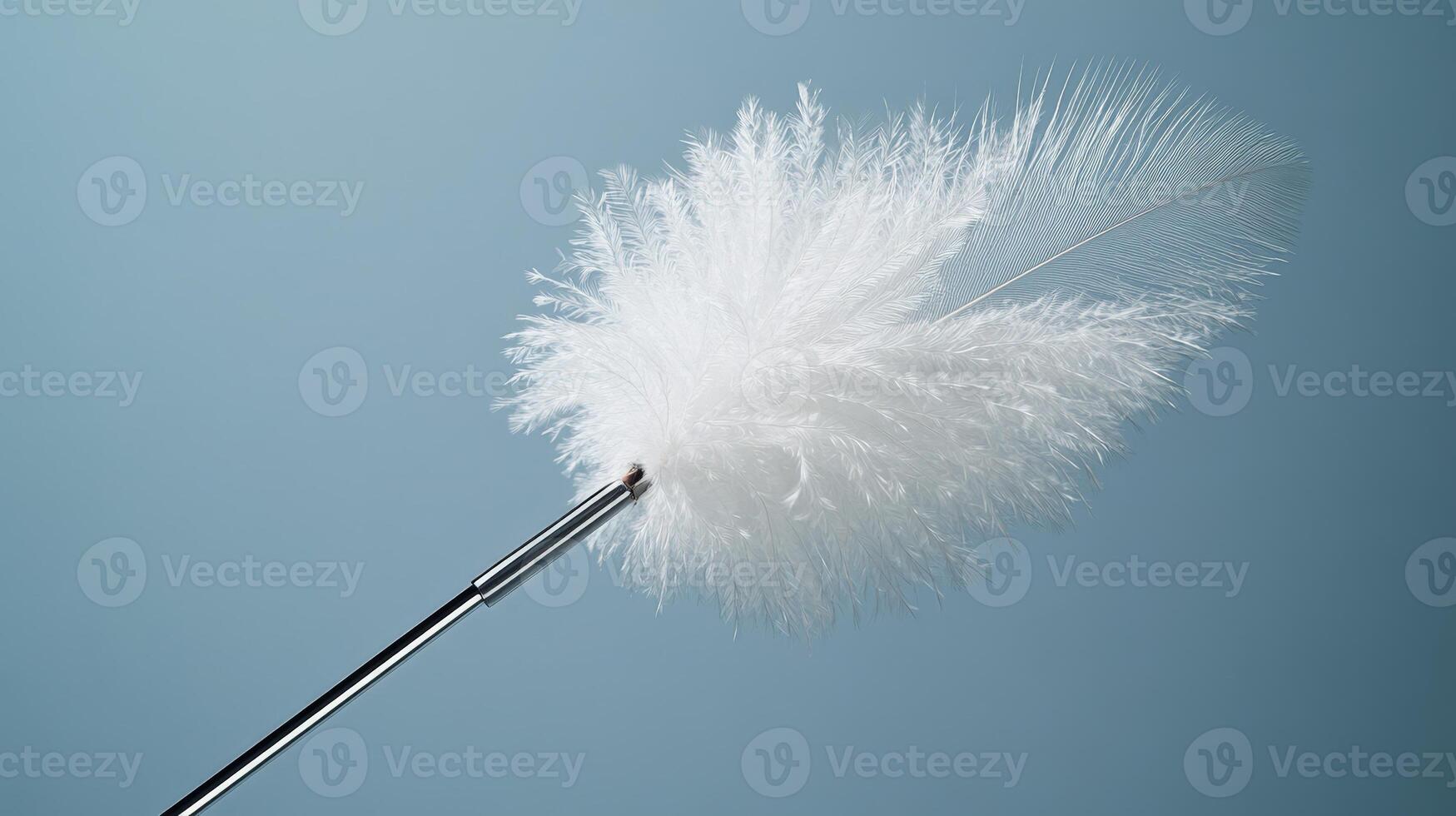 White Feather Duster photo