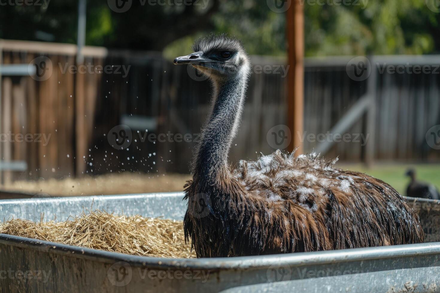 A bird in a metal container photo