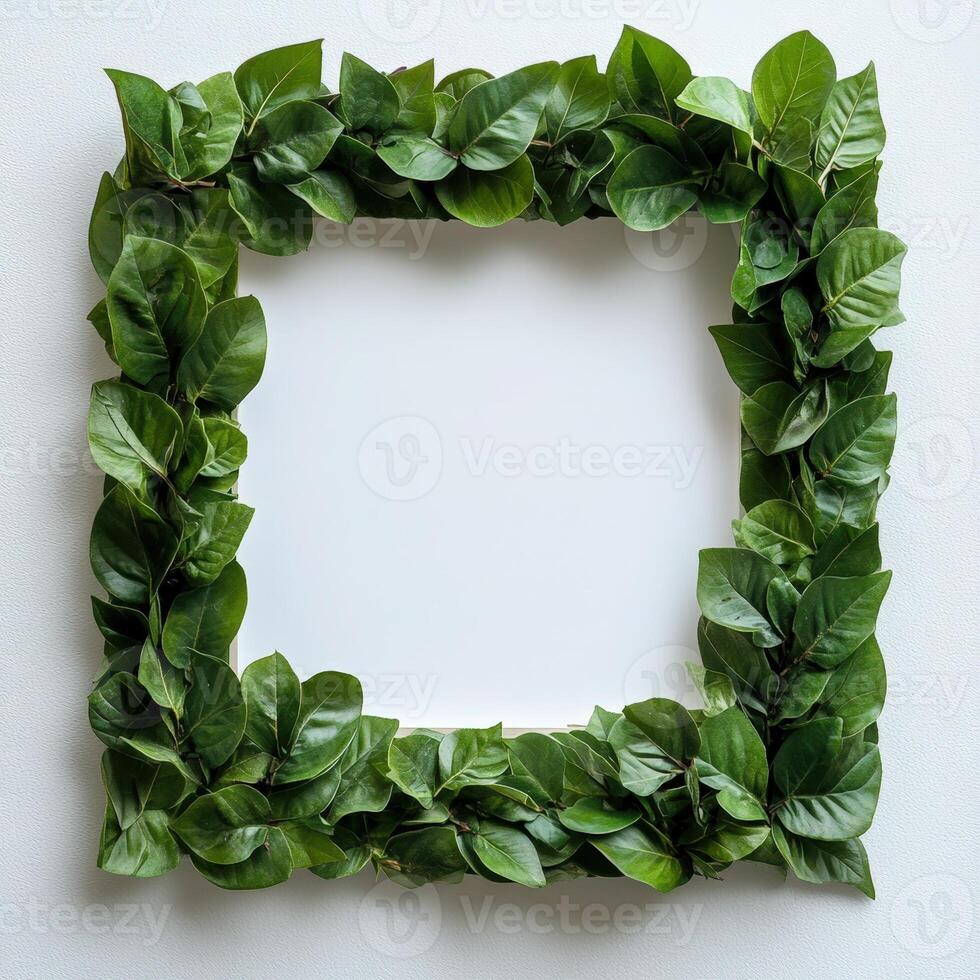A square frame made of green leaves on a white wall photo