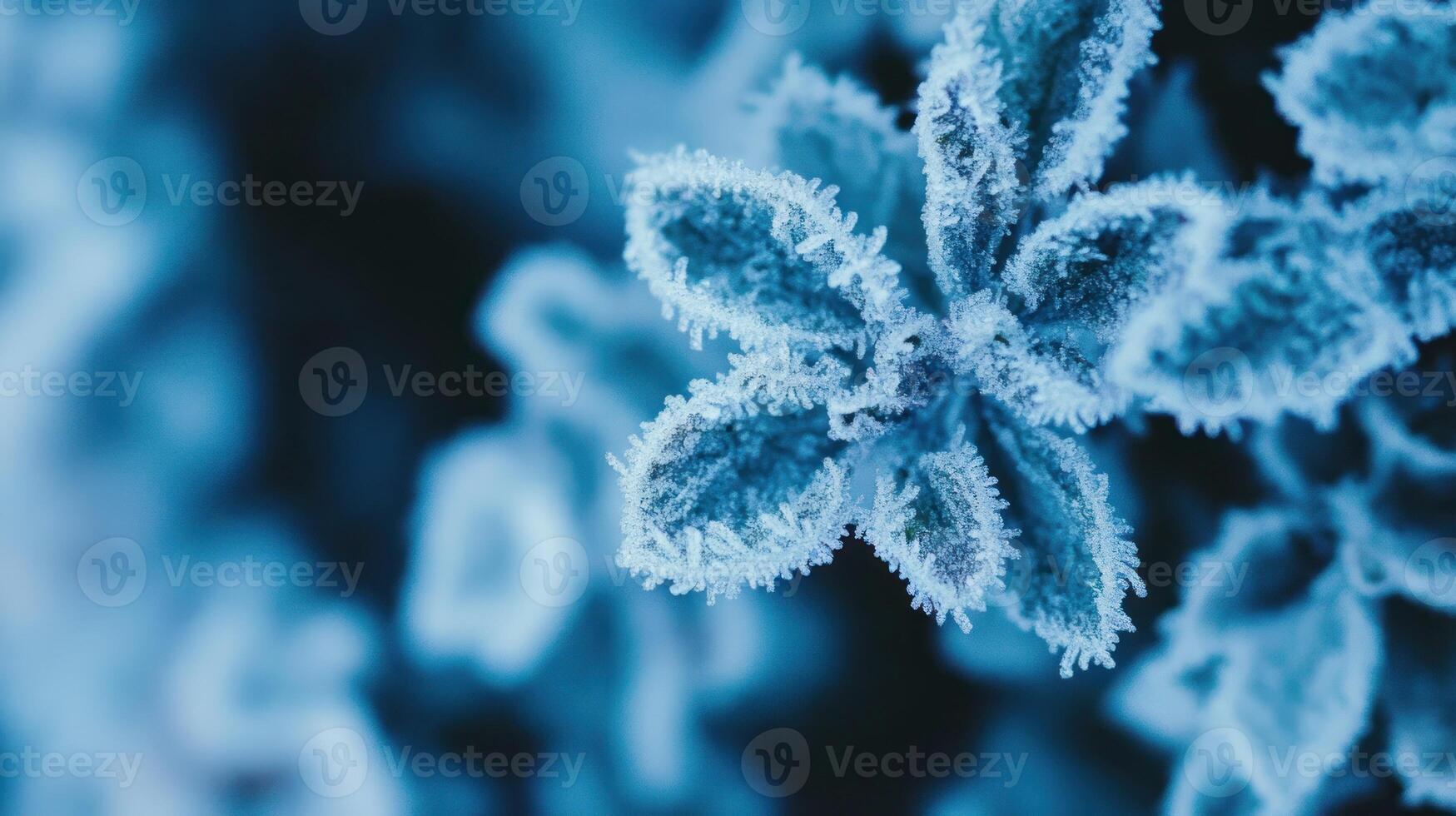 Frozen leaves close-up photo