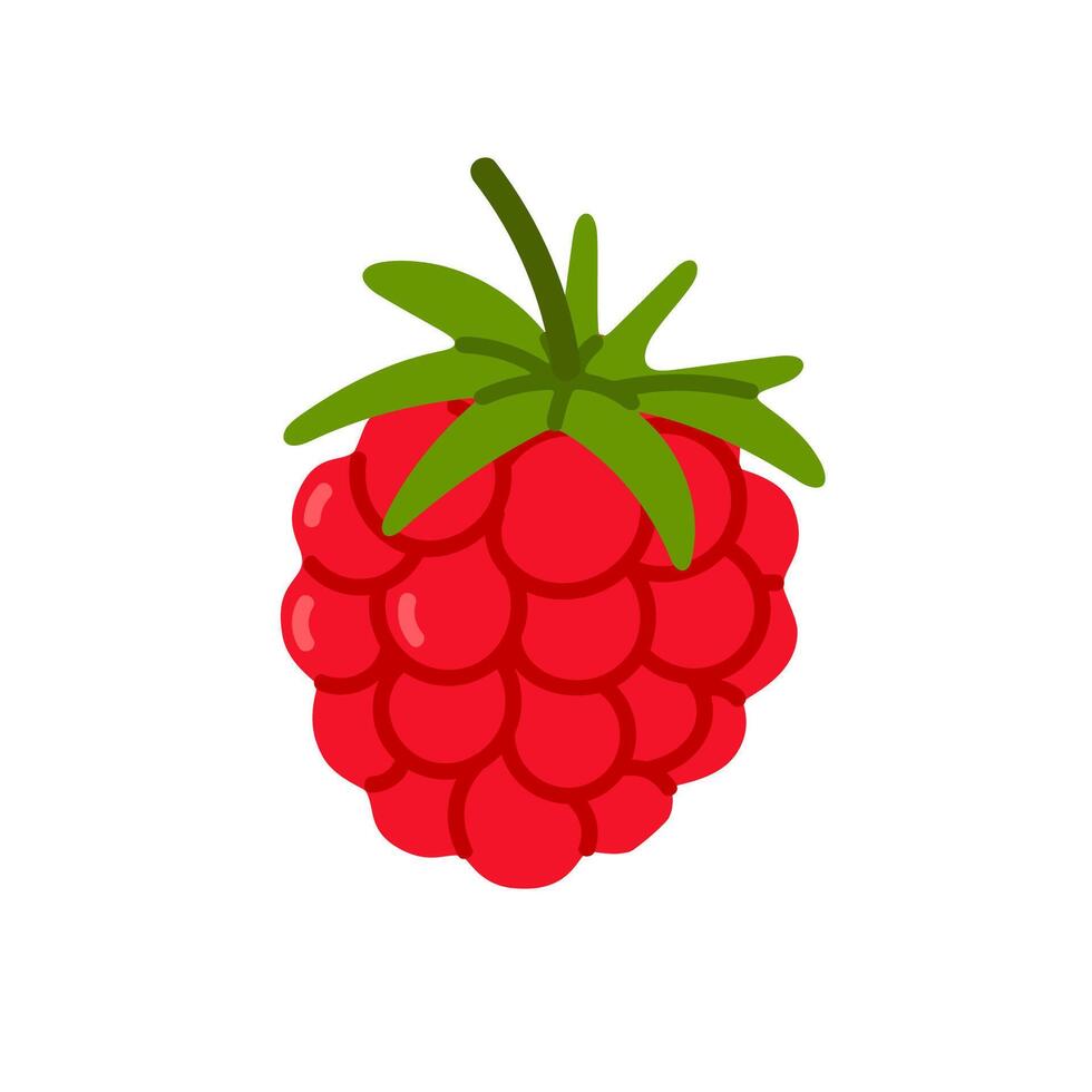 Illustration of a single red raspberry with leafy top. Great for organic food labels, berry product packaging, healthy eating graphics, and fruit-related designs vector