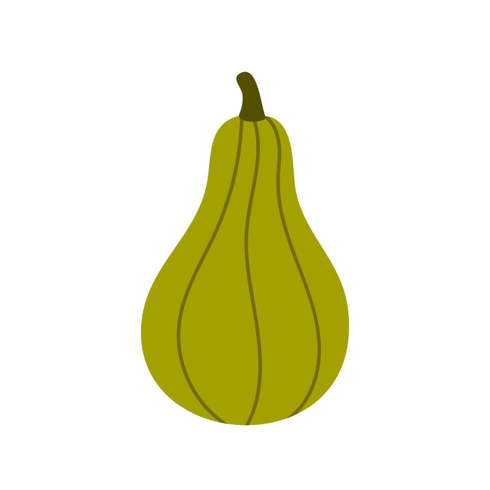 Unique green gourd with pear-like shape, isolated on white, ideal for seasonal food or gardening illustrations vector