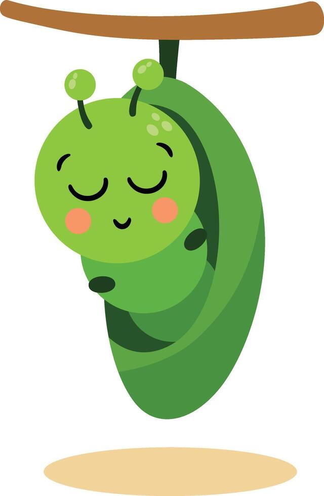 Little Larva Resting in Chrysalis vector