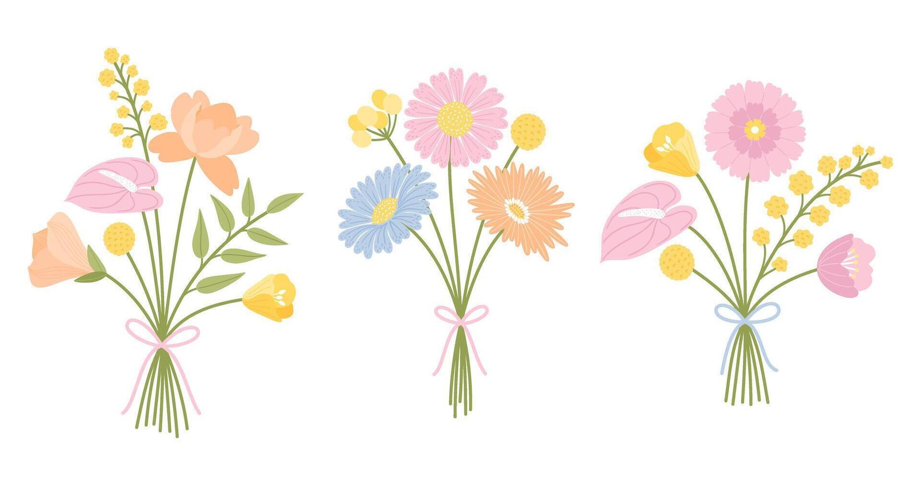 Three floral bouquets set. Wildflower bunch. Flowers tied with ribbon, illustration. Meadow herbs, and wild plants for projects design vector