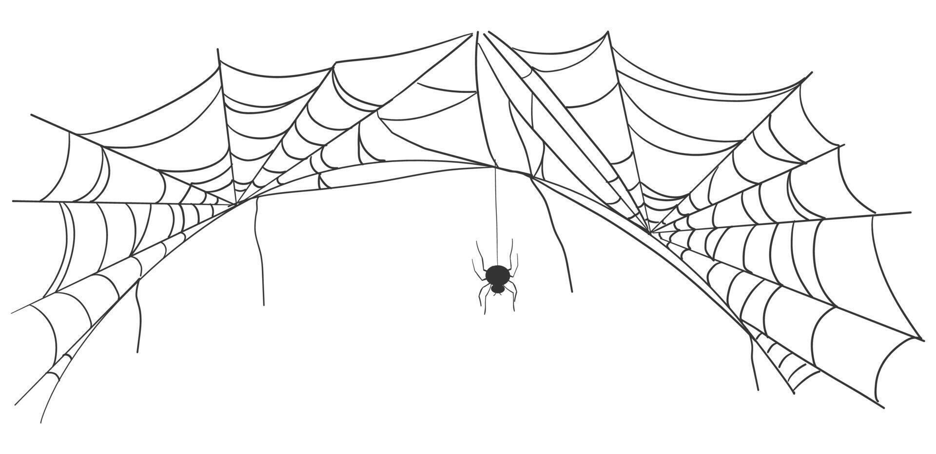 Spiderweb cartoon cobwebs for Halloween design. illustration of hanging spider nets, ideal for dark spooky banners, decorations, or creepy party backdrops. vector
