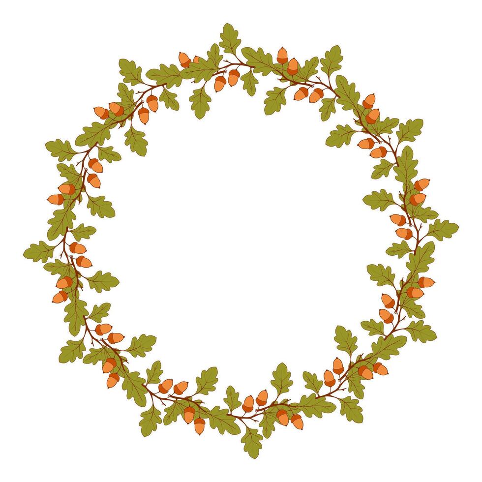 Wreath of oak acorns on branch, beautiful oak branches with acorn fruits in form of round frame, empty space for an inscription. Isolated on white background. vector