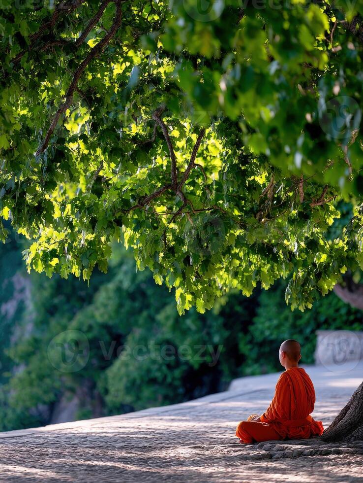 Young monk meditates under a tree in nature sanctuary photo