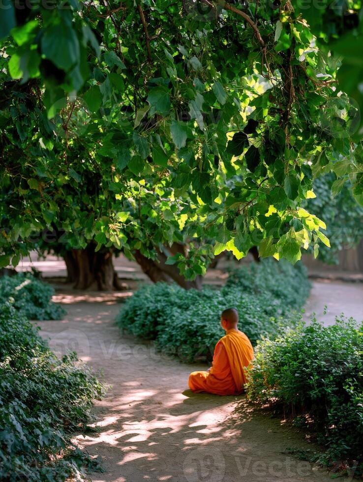 Young monk meditates under a Bodhi tree in Bodh Gaya, India photo