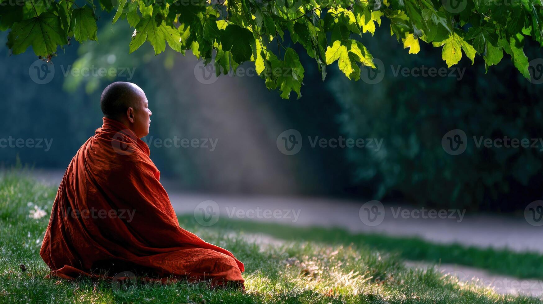 Buddhist monk sits in meditation under tree in the park photo