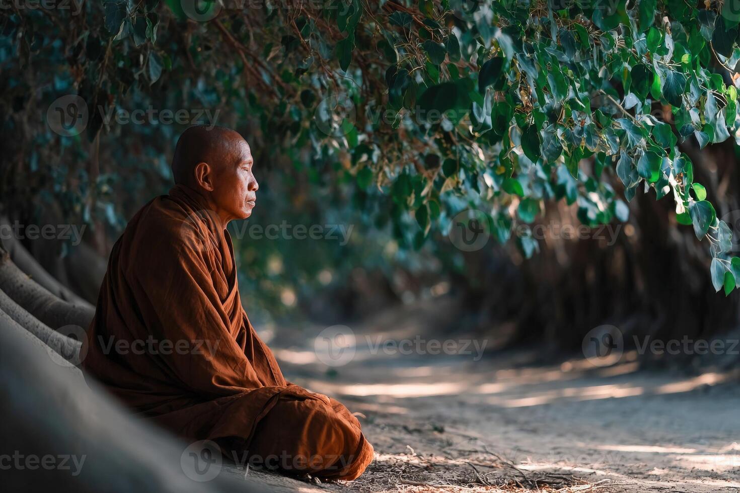 Monk meditates serenely in a peaceful forest of Southeast Asia photo