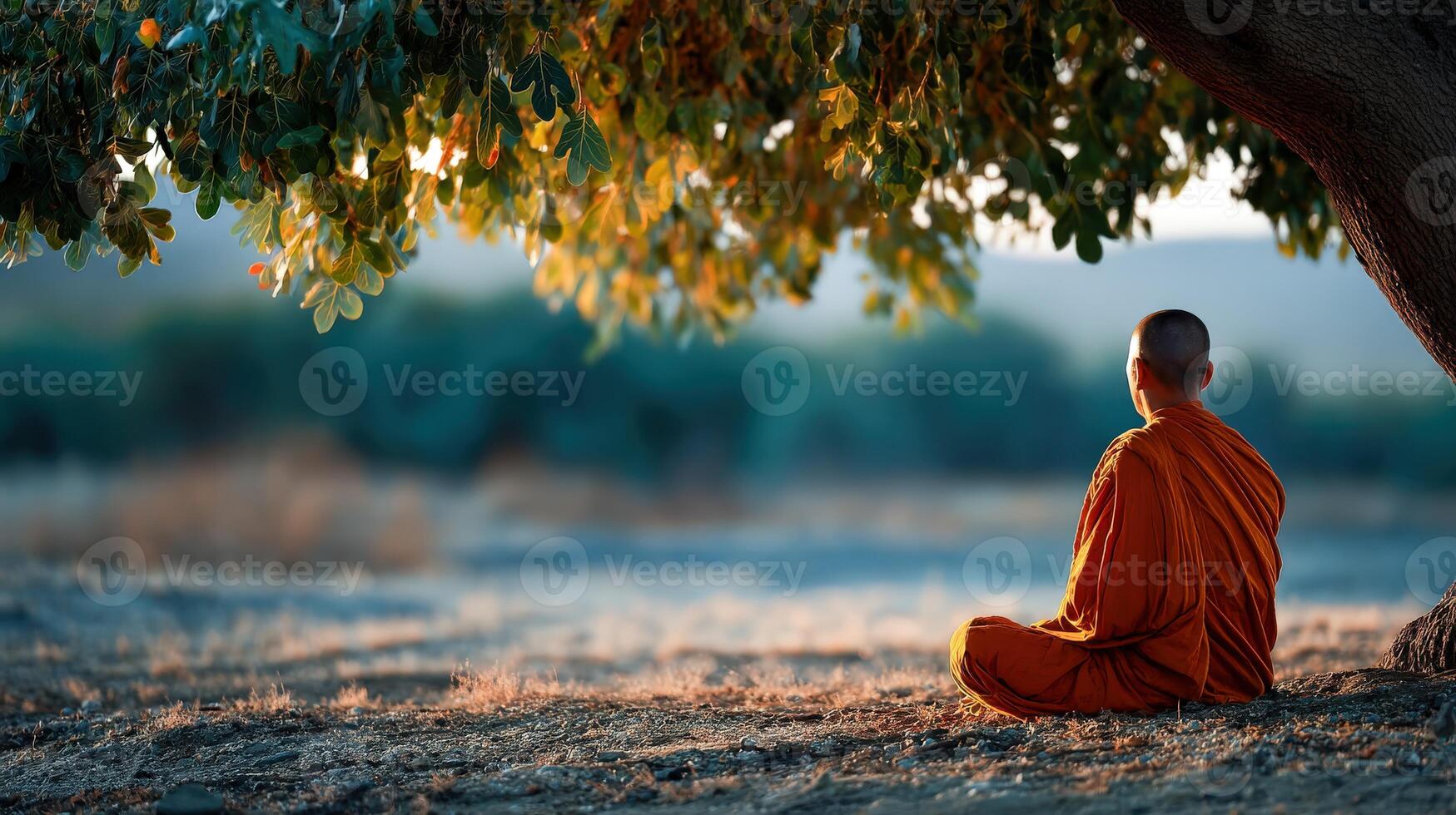 Buddhist monk meditates under tree at sunrise in nature photo