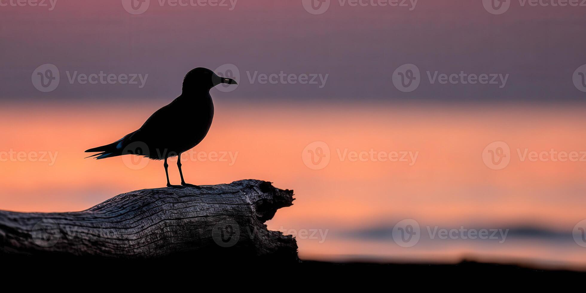 Silhouette of bird resting on driftwood during colorful sunset photo