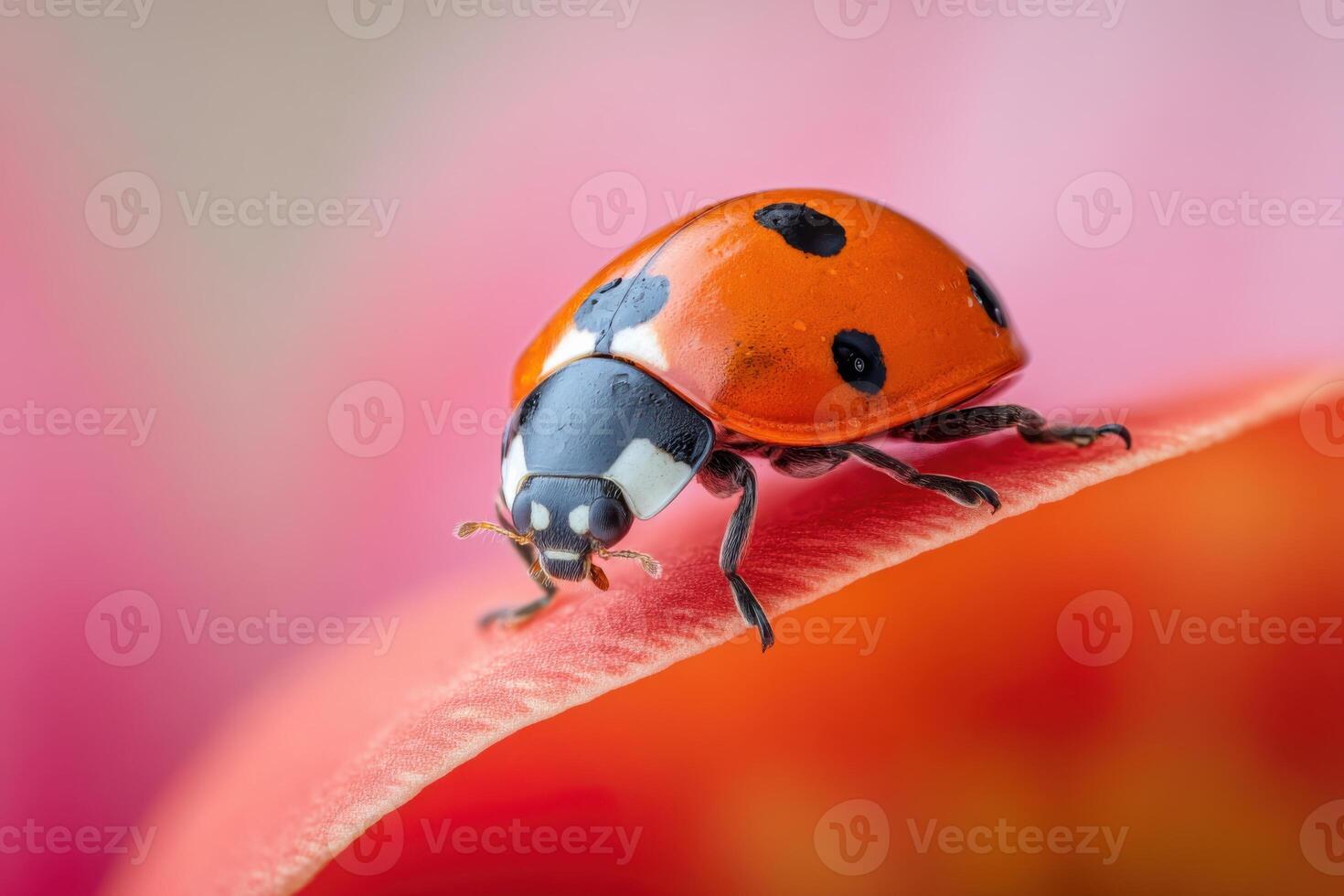 Close-up of a vibrant ladybug with striking red shell and black spots, perched on a green leaf, showcasing intricate details and natural beauty in a soft floral background photo