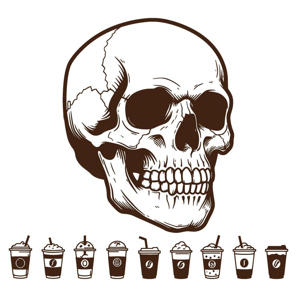 illustration of skull and coffee beverages in a hand drawn vintage style design vector