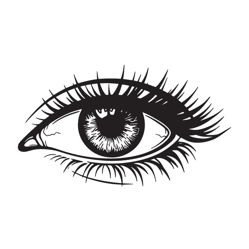 Detailed black and white illustration of an eye with eyelashes and iris vector