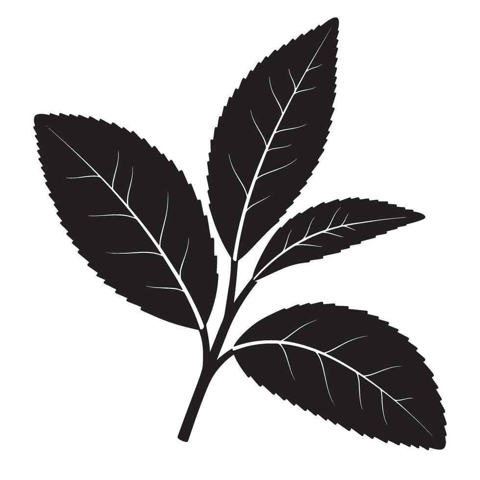 Elegant black and white illustration of tea leaves branch for botanical designs vector