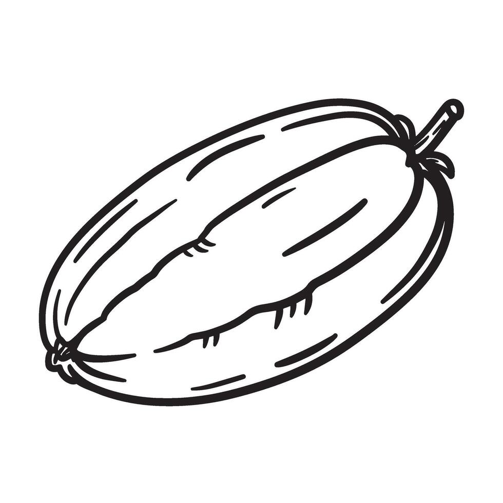 Hand drawn stylized ink illustration of a ripe papaya fruit on a white background vector