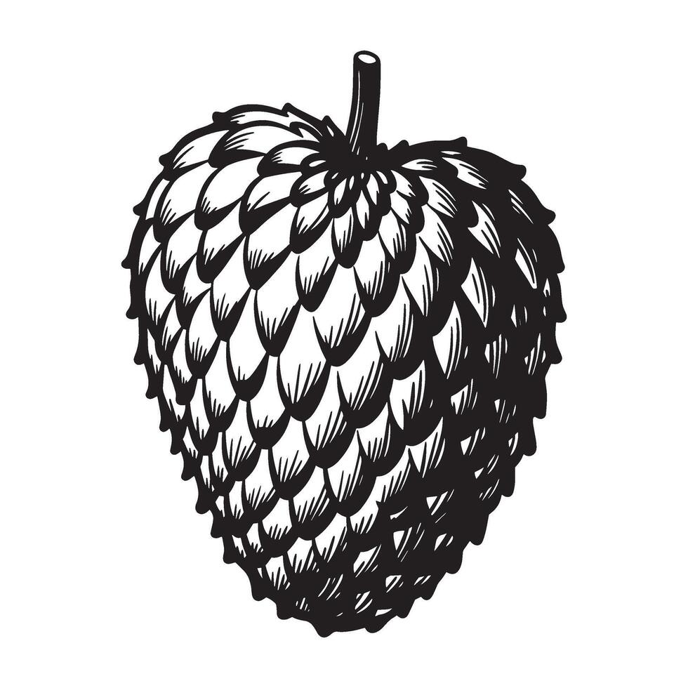 Detailed black and white illustration of a textured hop cone isolated on white background vector